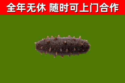 安吉县烟酒回收干海参.jpg